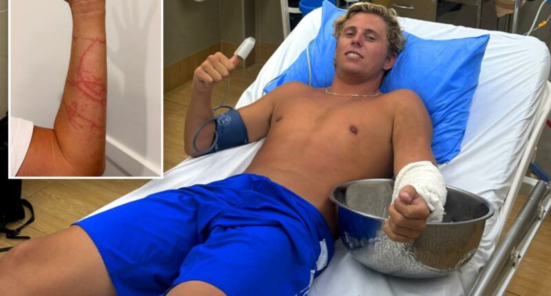 Australian surfer miraculously survives attack from âworldâs most venomous animalâ